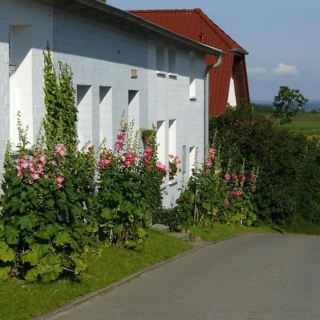 Unter Den Linden Thiessow