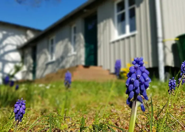 Unter Den Linden * 티소브